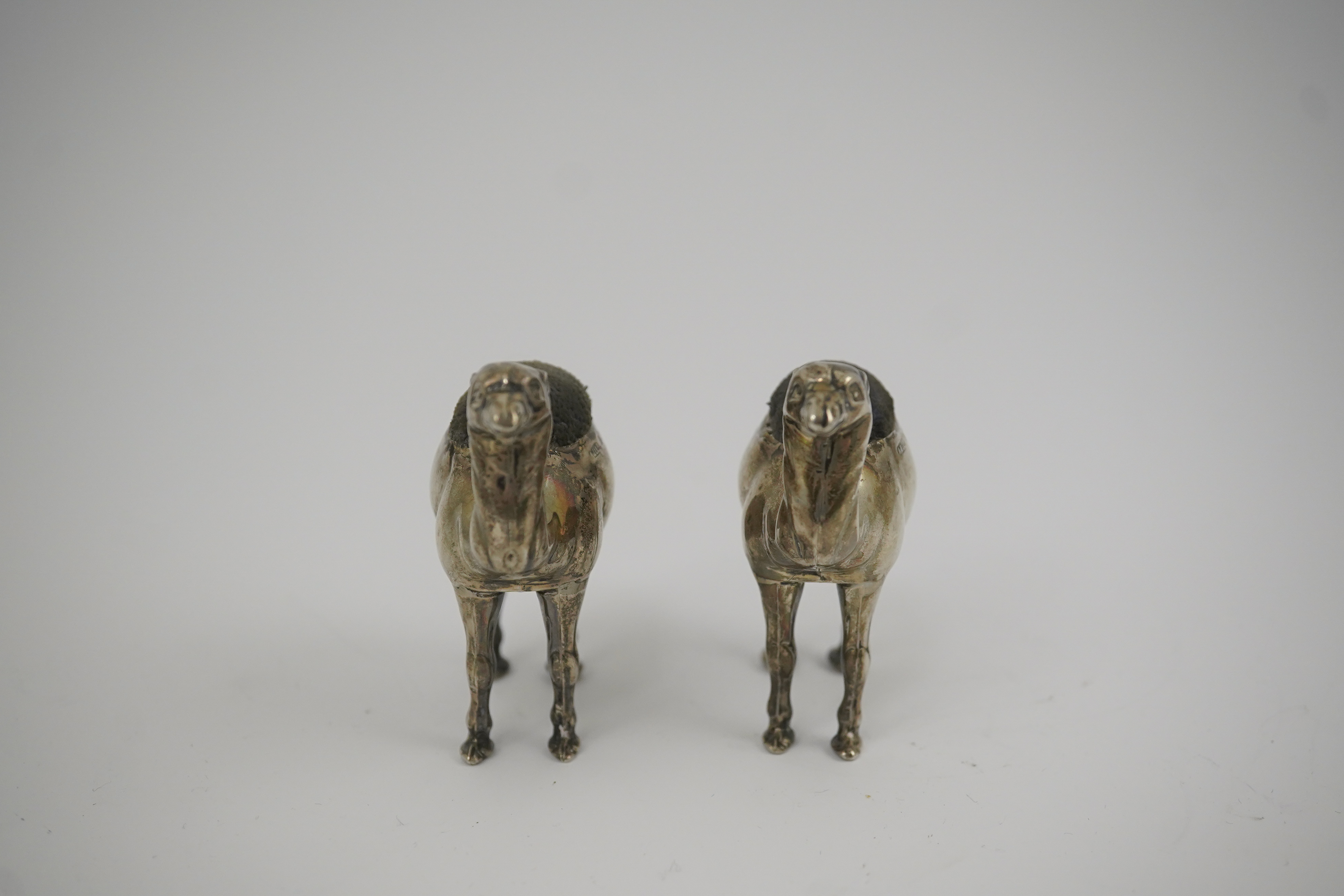 A pair of Edwardian novelty silver pin cushions, each modelled as a camel